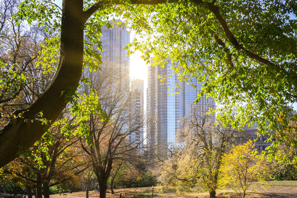 New York City, NY - November 15 2020: falling yellow leaves at public park in autumn season. Fall in the park with skyscrapers in the background - Φωτογραφία, εικόνα