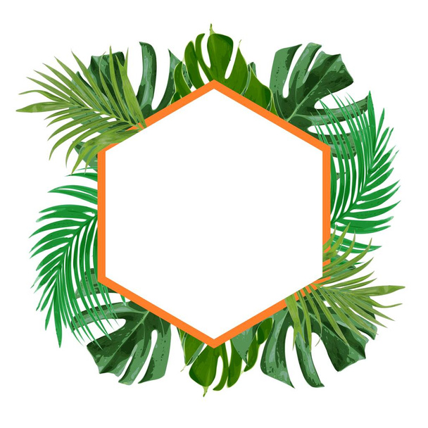 vert frais tropical floral cadre décoratif vecteur  - Vecteur, image