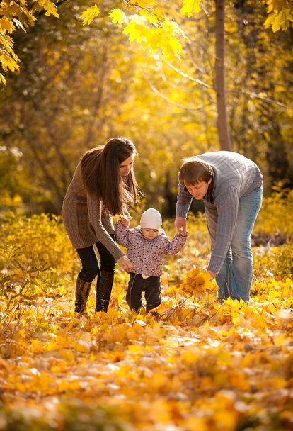 Батьки навчають маленьку доньку ходити по осінньому парку
 - Фото, зображення