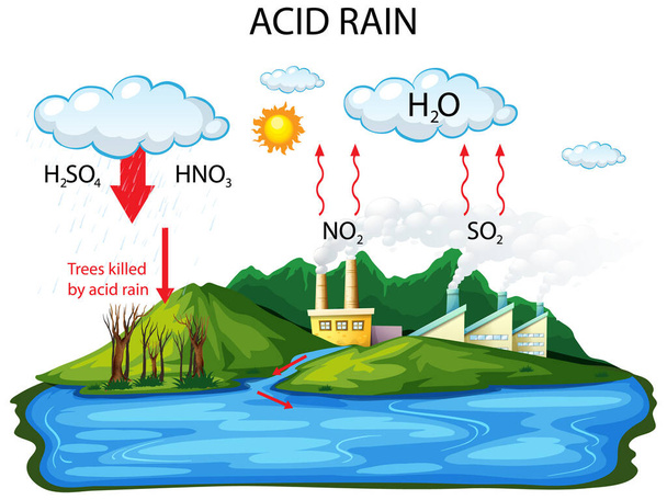 Schéma montrant la voie des pluies acides sur fond blanc illustration - Vecteur, image