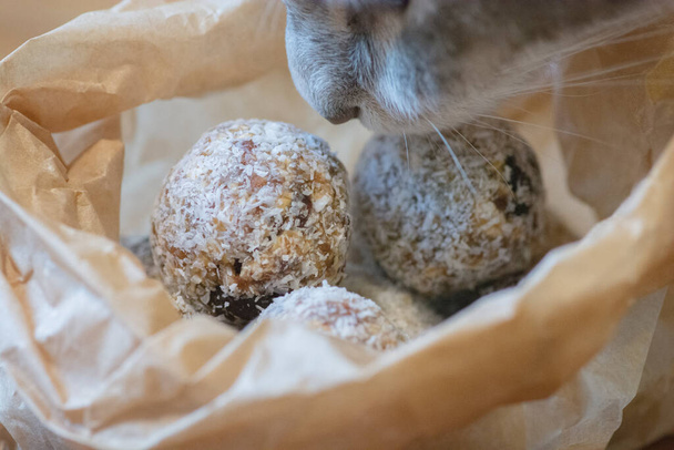 Kat ruikt een zakje dadelenergiebeten, een gezonde veganistische rauwe zoete ballen met dadels, noten en kokospoeder  - Foto, afbeelding