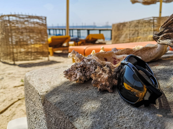 γυαλιά ηλίου και κοράλλια στην παραλία για διακοπές στην Αίγυπτο - Φωτογραφία, εικόνα
