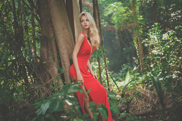 Beautiful lady in tropical forest - Φωτογραφία, εικόνα