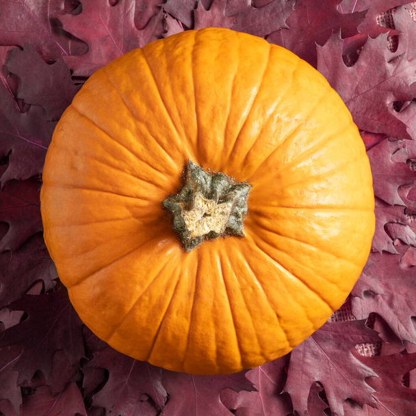 Hintergrund zum Erntedankfest mit Orangenkürbis und Eichenblättern. Herbstliches Stillleben. Halloween-Feiertag. - Foto, Bild