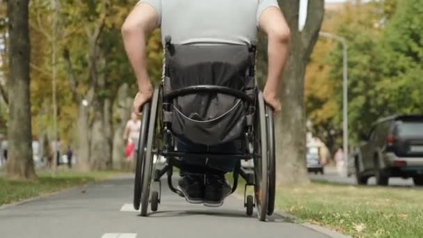 Hombre discapacitado en silla de ruedas caminar en el callejón del parque - Imágenes, Vídeo