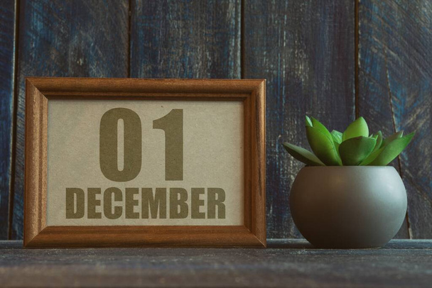 1. Dezember. Tag 1 des Monats, Datum im Rahmen neben Sukkulente auf Holzgrund Wintermonat, Tag des Jahres Konzept. - Foto, Bild