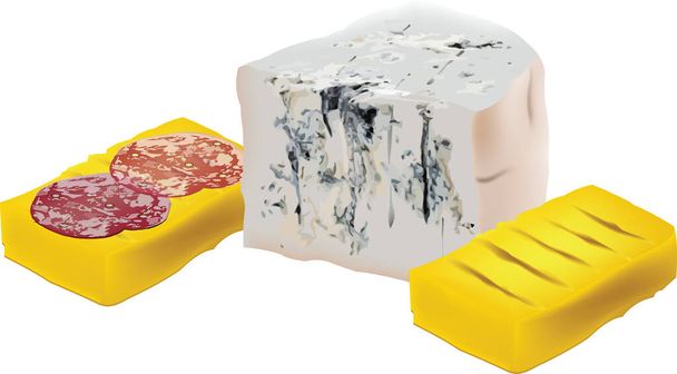 fromage gorgonzola avec salami sur une tranche de polenta - Vecteur, image