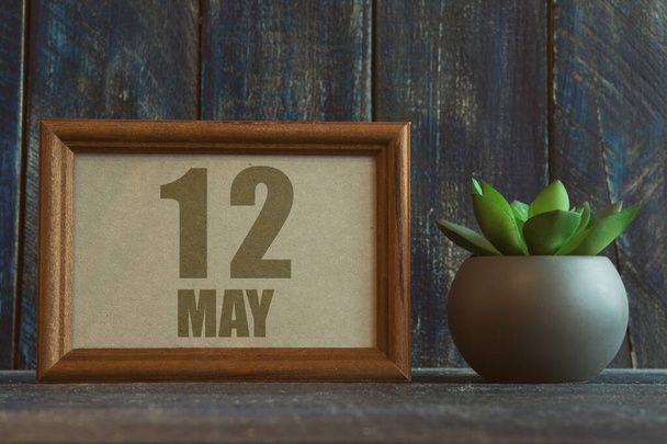 12. Mai. Tag 12 des Monats, Datum im Rahmen neben Sukkulente auf hölzernem Hintergrund Frühlingsmonat, Jahresbegriff. - Foto, Bild