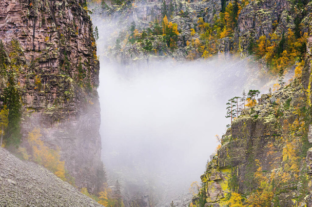 側に秋の色の木と渓谷の霧。ノルウェーのユトゥルフ・ハゲット - 写真・画像