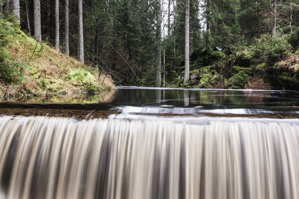 Маленький красивый водопад в лесу - Фото, изображение