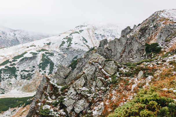 Beautiful snowy rocks in the Carpathian mountains - Photo, image