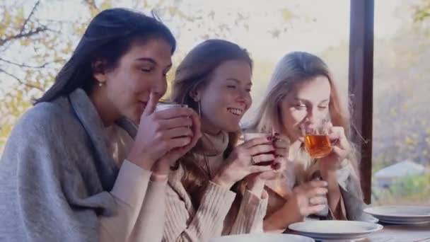 Tres mujeres con una manta sentadas sobre sus hombros en la terraza y tomando té - Metraje, vídeo