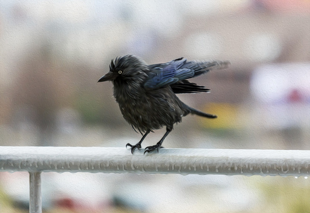 Miserabile corvo bagnato aggrappato balconcino ferroviario sotto la pioggia olio-dolore
 - Foto, immagini