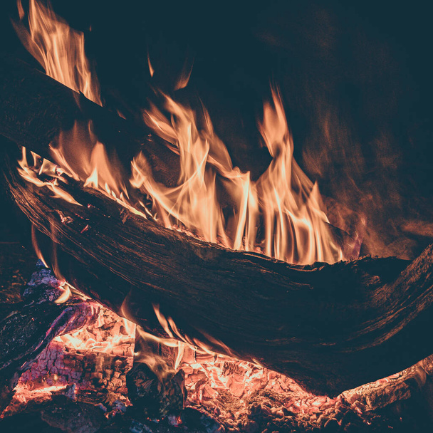 Деревина горить у вогні. Вогонь для кущів і туризму вночі дає тепло і світло
. - Фото, зображення
