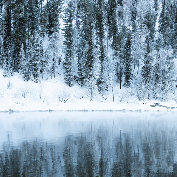 Snow forest on hillside on bank of frozen river - Фото, изображение