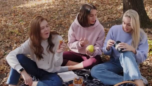 Gelukkige vrouwen vrienden op een picknick in een rustplaats in een zonnig bos, genieten van een vakantie in de natuur - Video