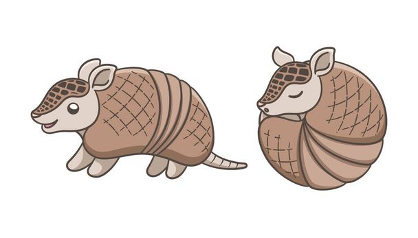 Armadillo cartoon standing and rolled up into a ball poses vector illustration set. Cute animal character design. - Vector, Image
