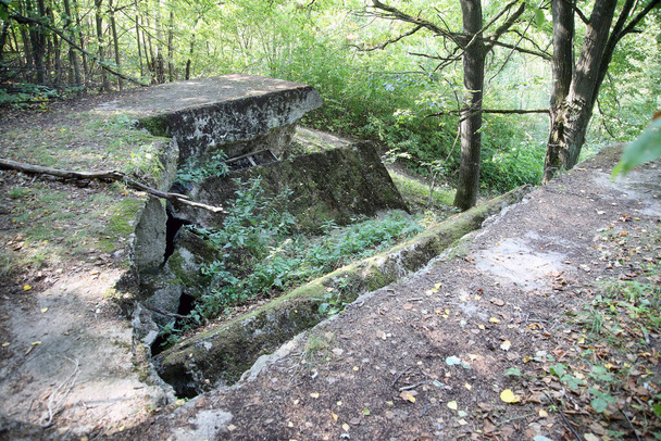 Bunker militar en el bosque WW2, condado de Kaunas, Vaisvydav - Foto, imagen