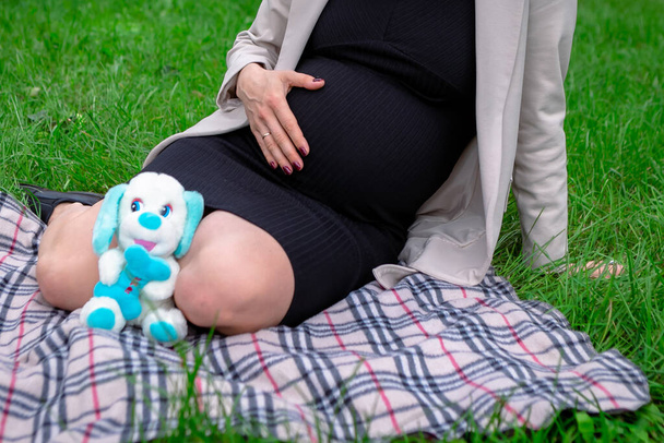 Mujer embarazada en el parque, sin rostro - Foto, imagen