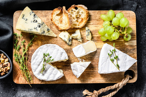 Cheese plate with Camembert, brie and blue cheese with grapes and walnuts. Black background. Top view. - Photo, Image