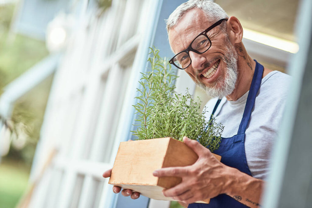 Biały mężczyzna w średnim wieku trzyma pudełko z pikantnymi ziołami - Zdjęcie, obraz