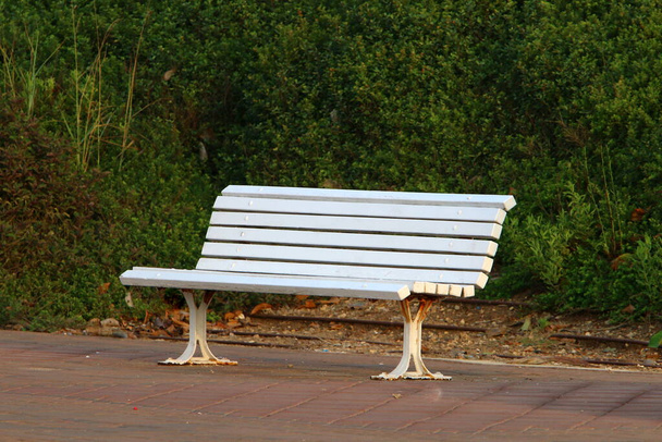 un banco para descansar en un parque de la ciudad a orillas del mar Mediterráneo en el norte de Israel  - Foto, imagen