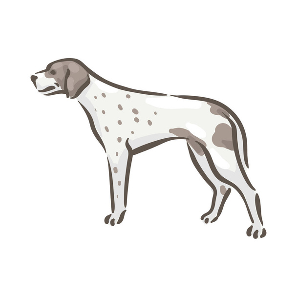 Carino cane puntatore razza pedigree vettoriale illustrazione  - Vettoriali, immagini
