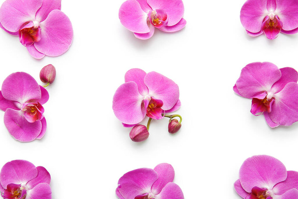 piękne kwiaty storczyk na białym tle - Zdjęcie, obraz