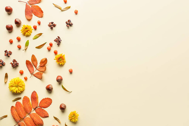 Composición con hojas de otoño brillantes sobre fondo de color - Foto, imagen
