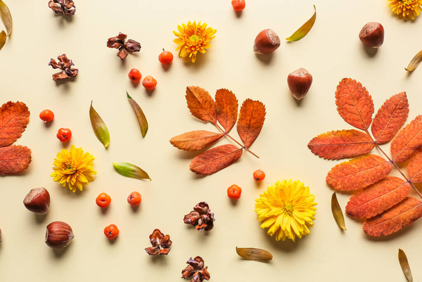 Composition with bright autumn leaves on color background - Foto, afbeelding