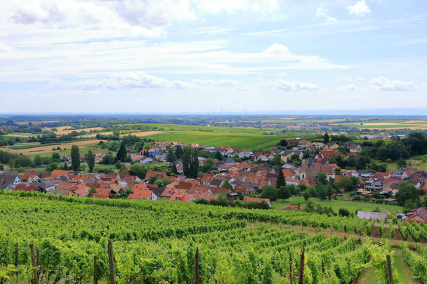 View from vineyards to Pleisweiler on the german wine route in the palatinate - Photo, Image
