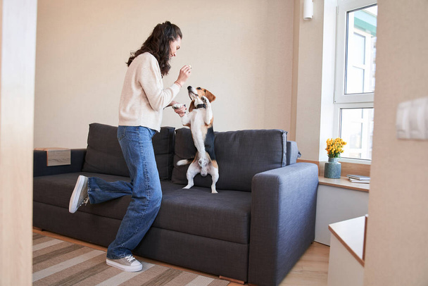 Woman having fun with her spotted beagle - Foto, Bild
