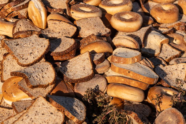 Gnijące resztki żywności chlebowej przeznaczone na ekologiczną glebę lub żywność pochodzenia zwierzęcego. - Zdjęcie, obraz