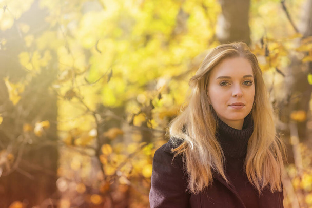 Attractive girl is posing in autumn park. Horizontally.  - Фото, изображение