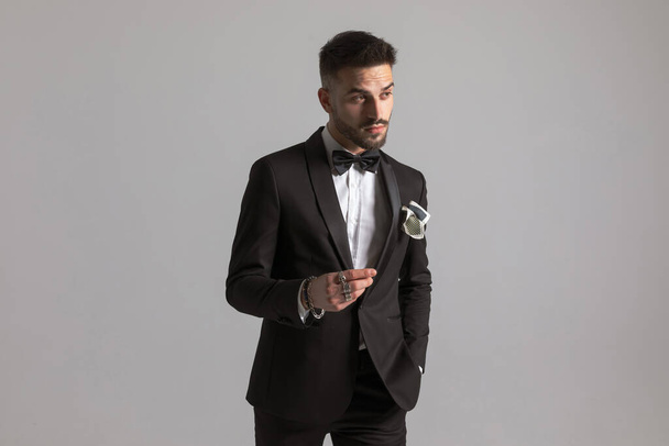 fashion businessman in black tuxedo holding hand in pocket, looking to side and posing on light gray background in studio - Valokuva, kuva