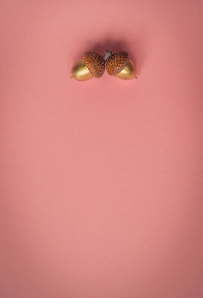 zwei Eicheln auf rosa Hintergrund - Foto, Bild