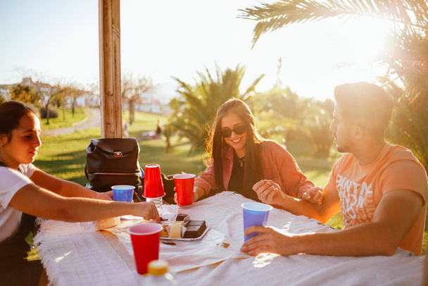 Eine Gruppe von Freunden prostet an einem Tisch in der Natur zu. Gruppe von Freunden in einem Picknickplatz - Foto, Bild