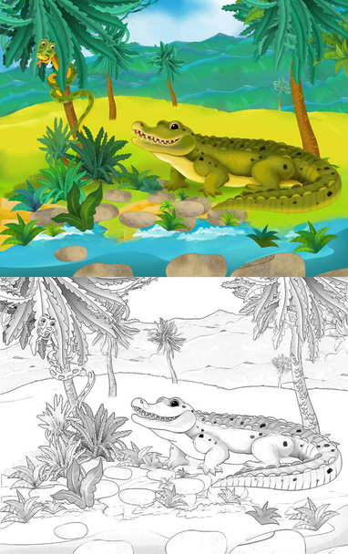 cartoon scene with wild animal crocodile alligator in nature - illustration for children - Foto, Imagem