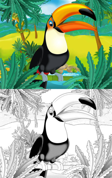 cartoon scene with wild animal bird toucan in nature - illustration for children - Φωτογραφία, εικόνα