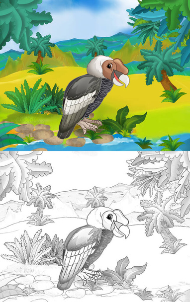 cartoon scene with wild animal bird vulture in nature - illustration for children - Foto, immagini