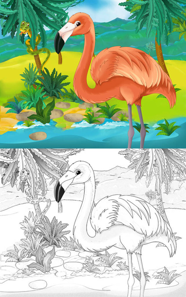 cartoon scene with wild animal flamingo bird in nature - illustration for children - Foto, immagini