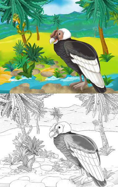 cartoon scene with wild animal bird vulture in nature - illustration for children - Valokuva, kuva