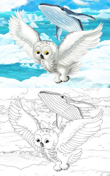 cartoon scene with wild animals like white owl in polar nature - illustration for children - Foto, Imagen
