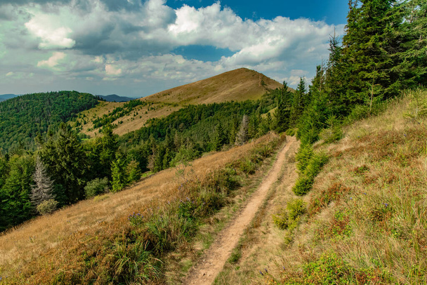 美しい夏の高地の風景自然写真6月の天気の良い日の時間帯にスロバキアのカルパティア山観光ハイキングルートの風景 - 写真・画像
