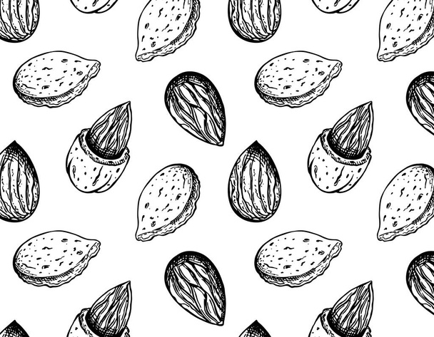 Vector illustration of sketch hand drawn pattern with graphic almond nuts isolated on white background. Vintage drawing, organic, vegan, food wallpaper. Line Art, engraving texture with nut seeds. - Vektor, Bild