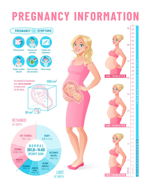 Pregnancy infographic. Healthy pregnant woman vector illustration. - Vektor, Bild
