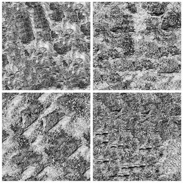 Σύνολο από 4 grunge πέτρινο φόντο στον τοίχο σε μαύρο και άσπρο - Φωτογραφία, εικόνα