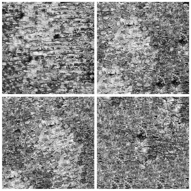 Sada 4 grunge kamenné stěny pozadí v černé a bílé - Fotografie, Obrázek
