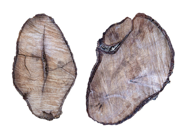 Primer plano del tronco del árbol cortado de sección transversal sobre un fondo blanco aislado, textura de madera. se - Foto, imagen