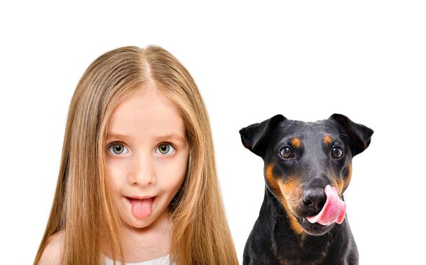 Portrait of funny cute little girl showing tongue and licking Jagdterrier dog isolated on white background - Zdjęcie, obraz